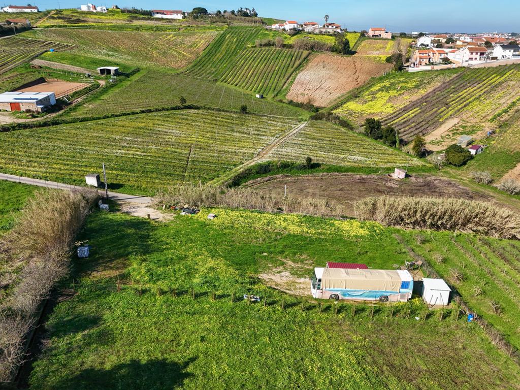 Terreno para Construção - Casal da Serpegeira, Ventosa (Torres Vedras) - Image 7