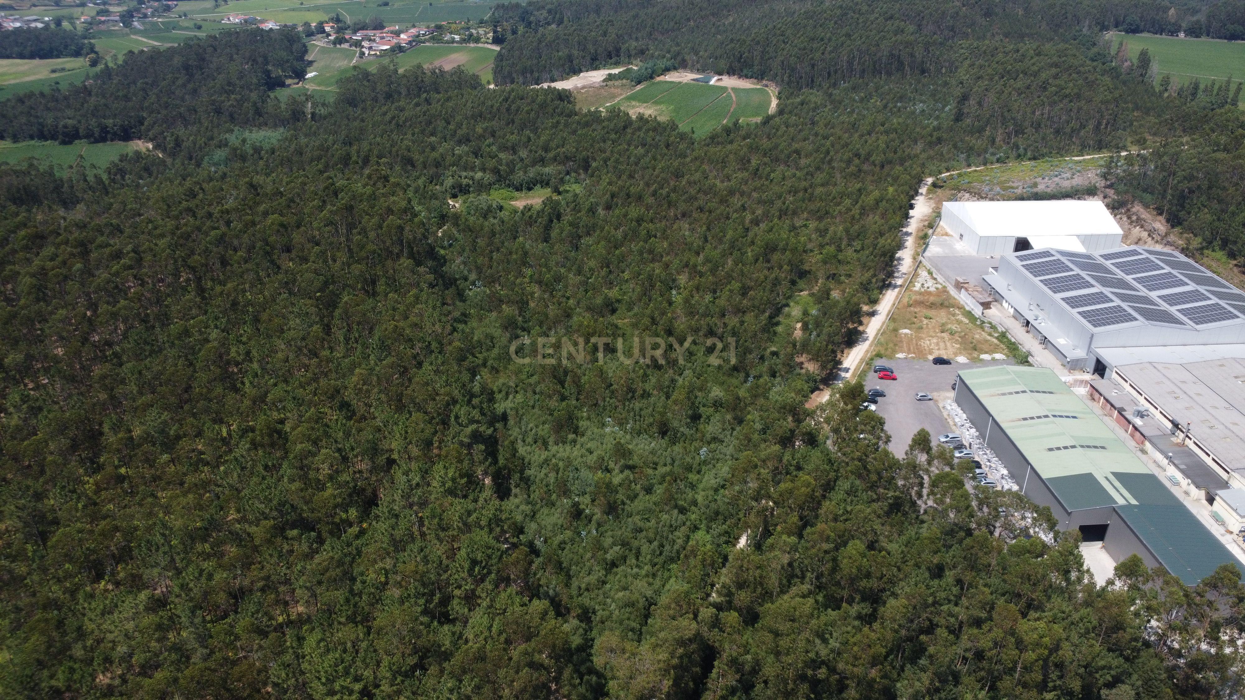 Fotografia 7 de Terreno Industrial com 40.445 m² e PIP Aprovado