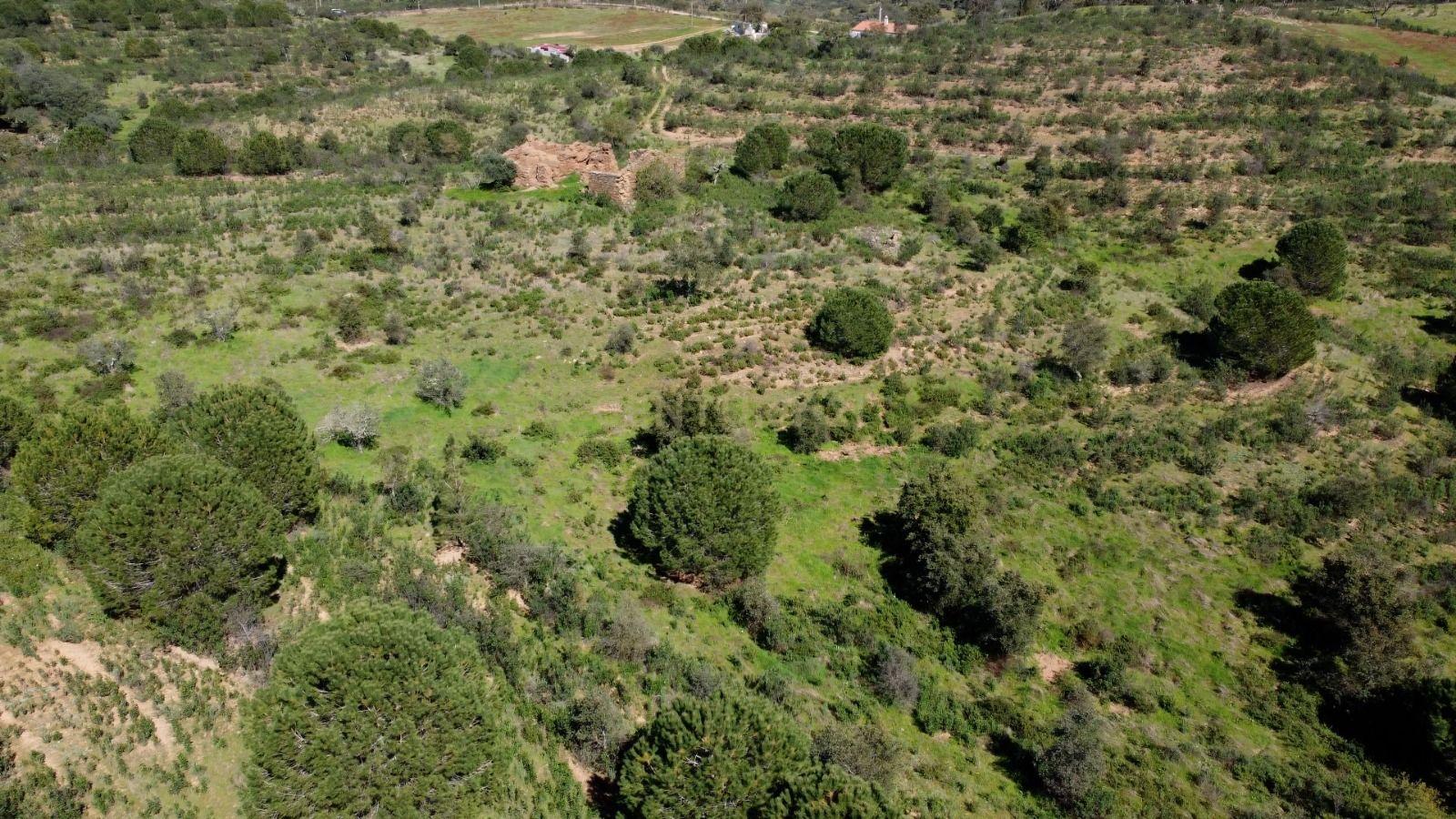 Fotografia 4 de Terreno Monte Alentejano com 6,27 ha, Artigo Urbano 120 m² e Montado de Sobro