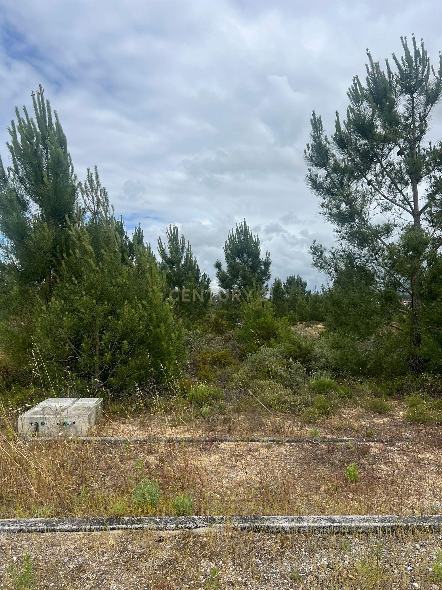 Fotografia 5 de Terreno Urbano | Quinta do Conde – Ribeira do Marchante