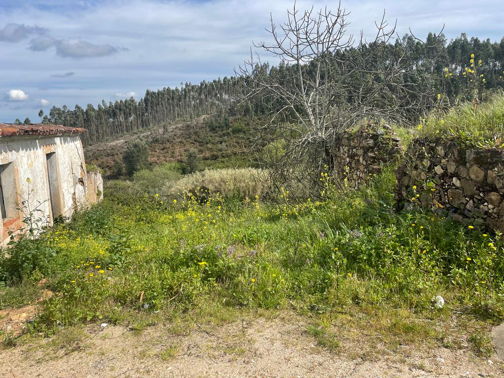 Moradia em Carvalhal, Abrantes - Image 8