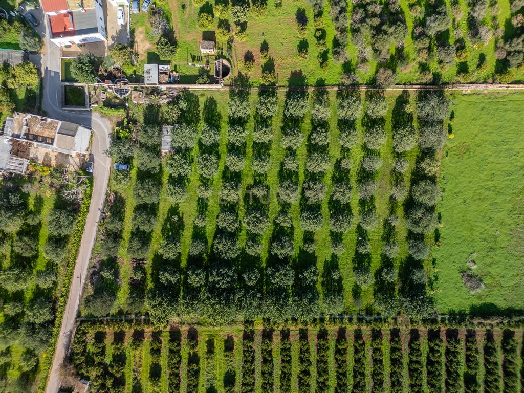 Moradia com Terrenos Rústicos na Horta da Jardina – Bela Salema, Faro - Image 26