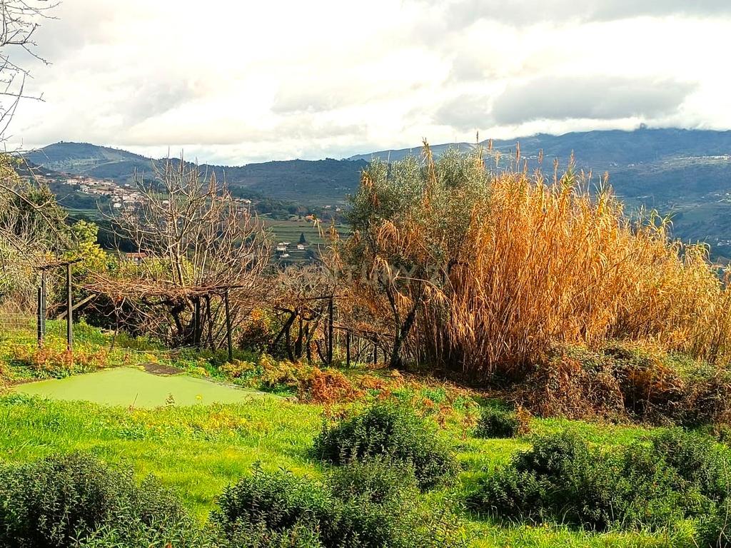 Belíssima ruína em terreno verdejante com vista deslumbrante para o Rio Douro, Baião, Porto - Image 42