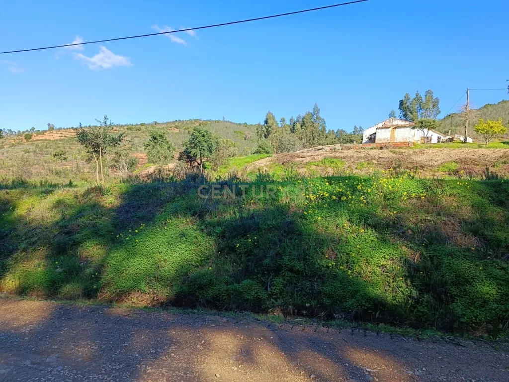 Terreno Misto com 3,66HA - Perna Seca - S. B. Messines - Image 32
