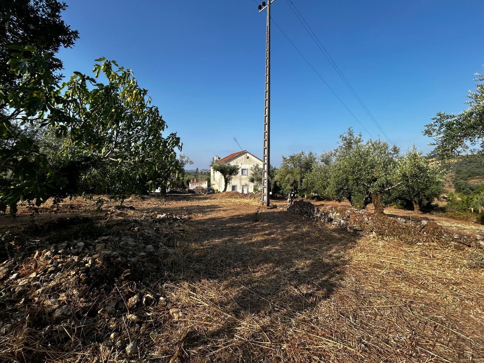 Fotografia 4 de Terreno com ruínas Recuperar em Além da Ribeira, Tomar