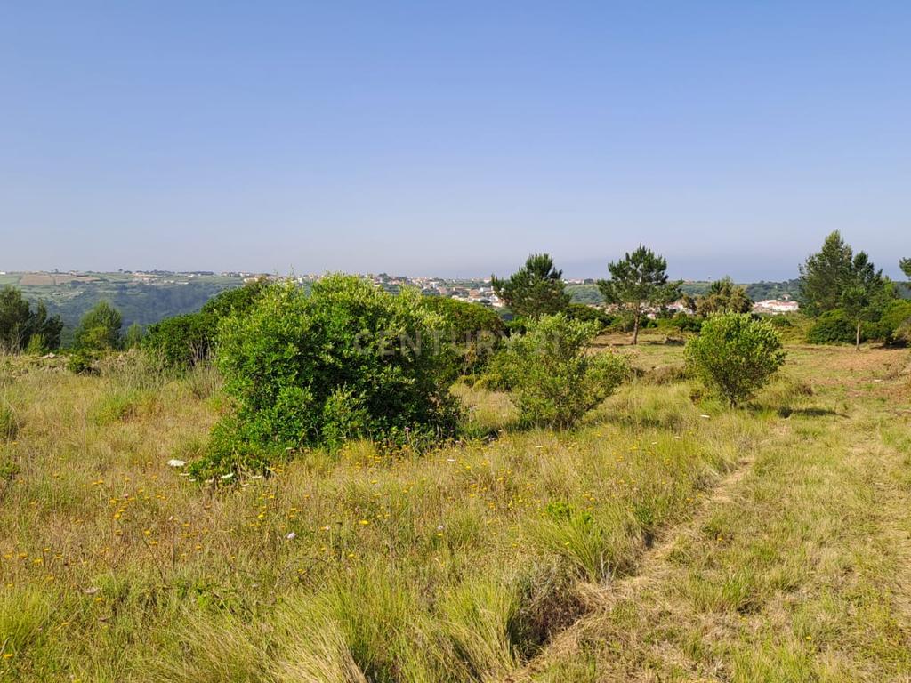 Terreno Rústico com Vista Panorâmica – Forte do Zambujal, Mafra - Image 8