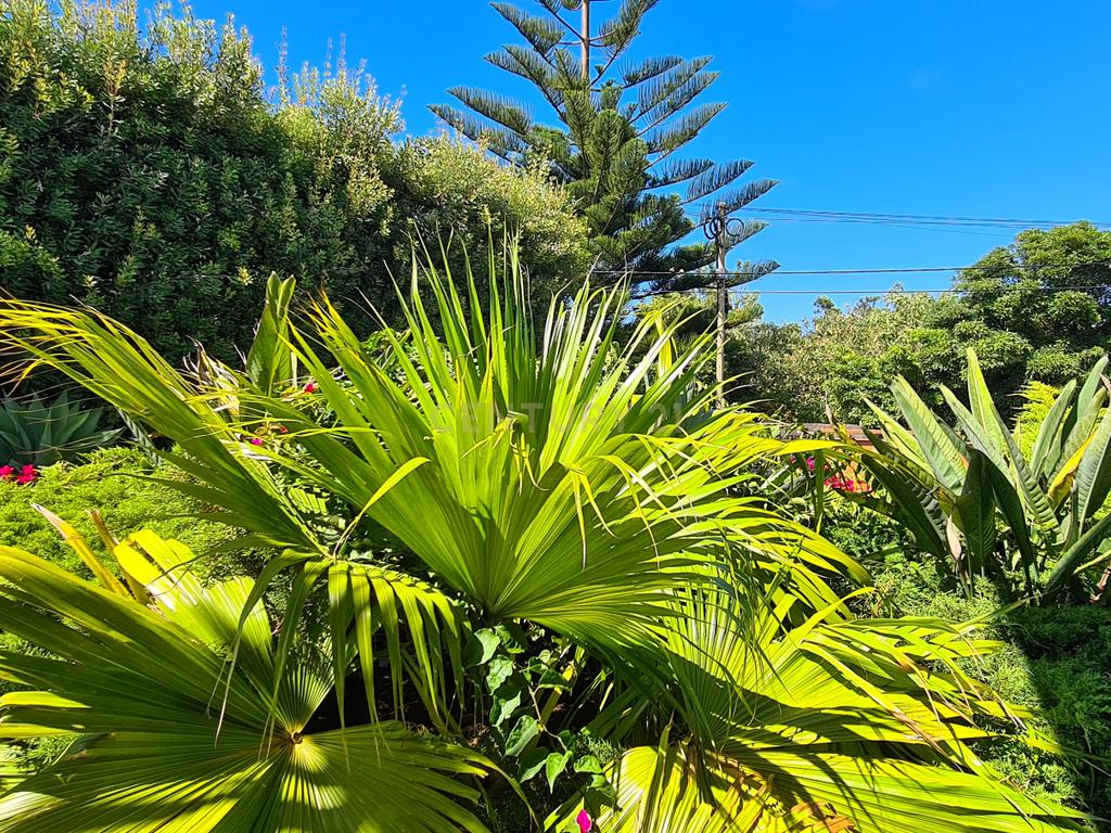 Country House em São Miguel, Açores: Refúgio Privado de Charme com piscina e quinta - Image 13