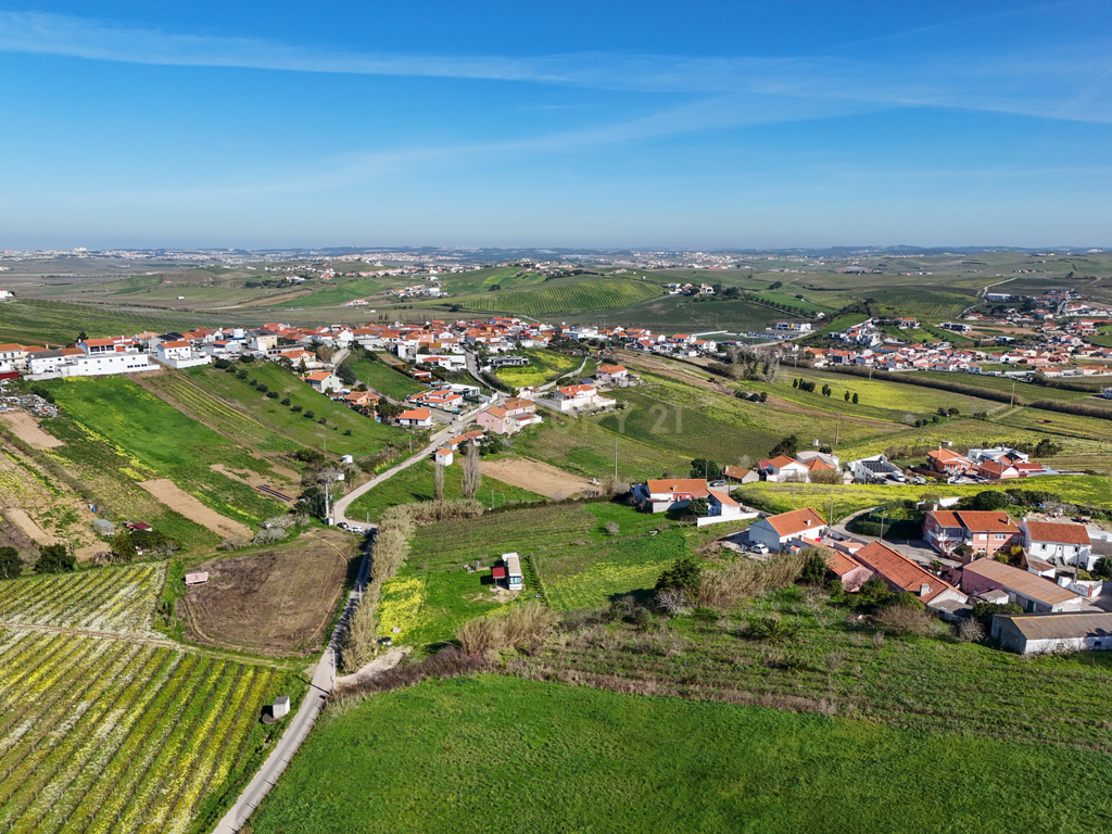 Terreno para Construção - Casal da Serpegeira, Ventosa (Torres Vedras) - Image 4