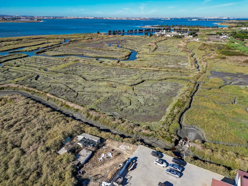 Terreno 20,18ha, Montijo - Seixalinho, para actividades de piscicultura e agricultura - Image 26