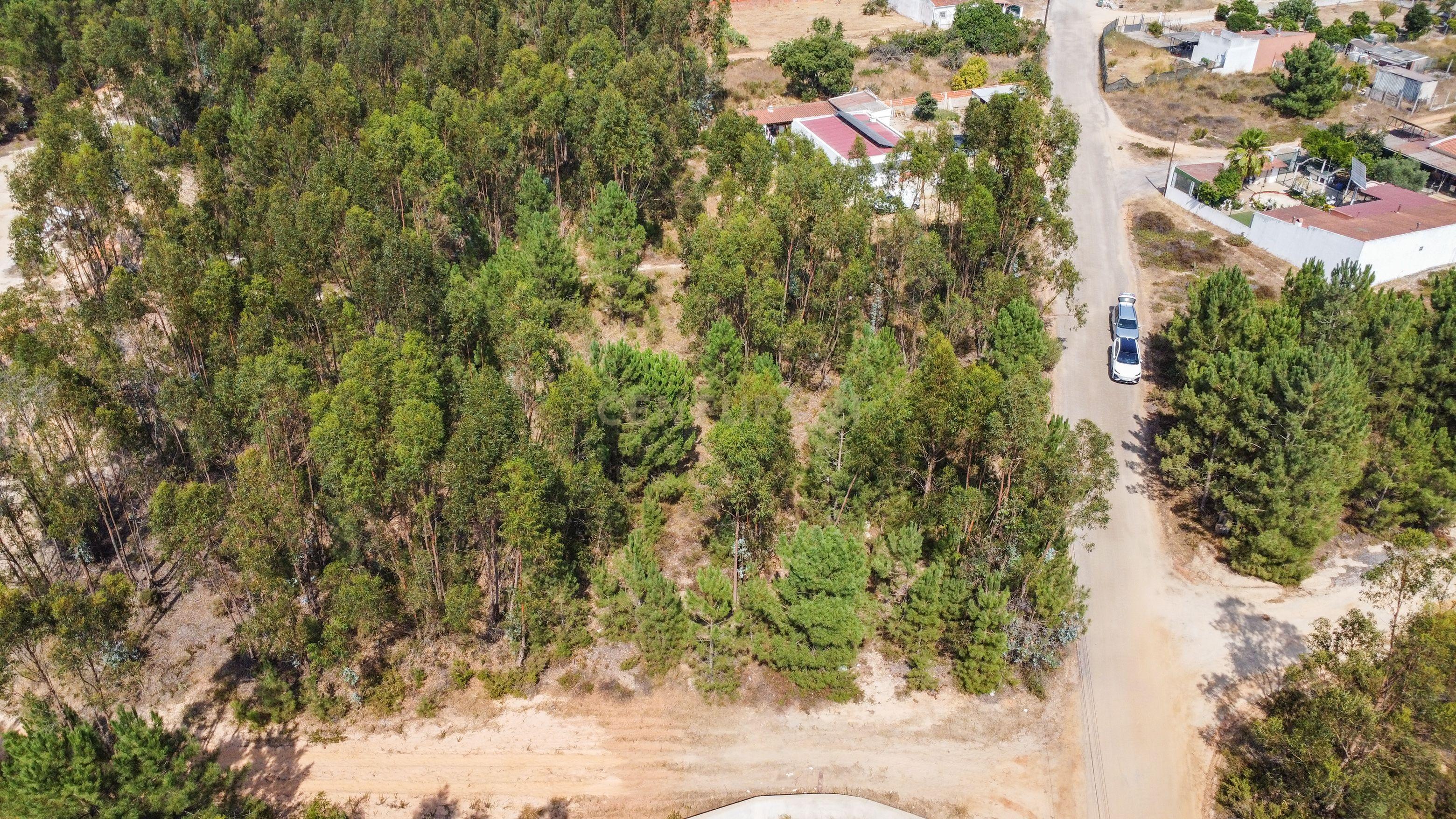 Fotografia 4 de Lote de Terreno com Elevado Potencial de Construção – Herdade do Pinhal das Formas, Quinta do Anjo