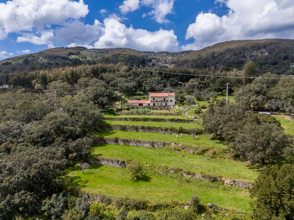 QUINTA COM 2,5 HECTARES EM ZONA CENTRAL DE MONCHIQUE - Image 2
