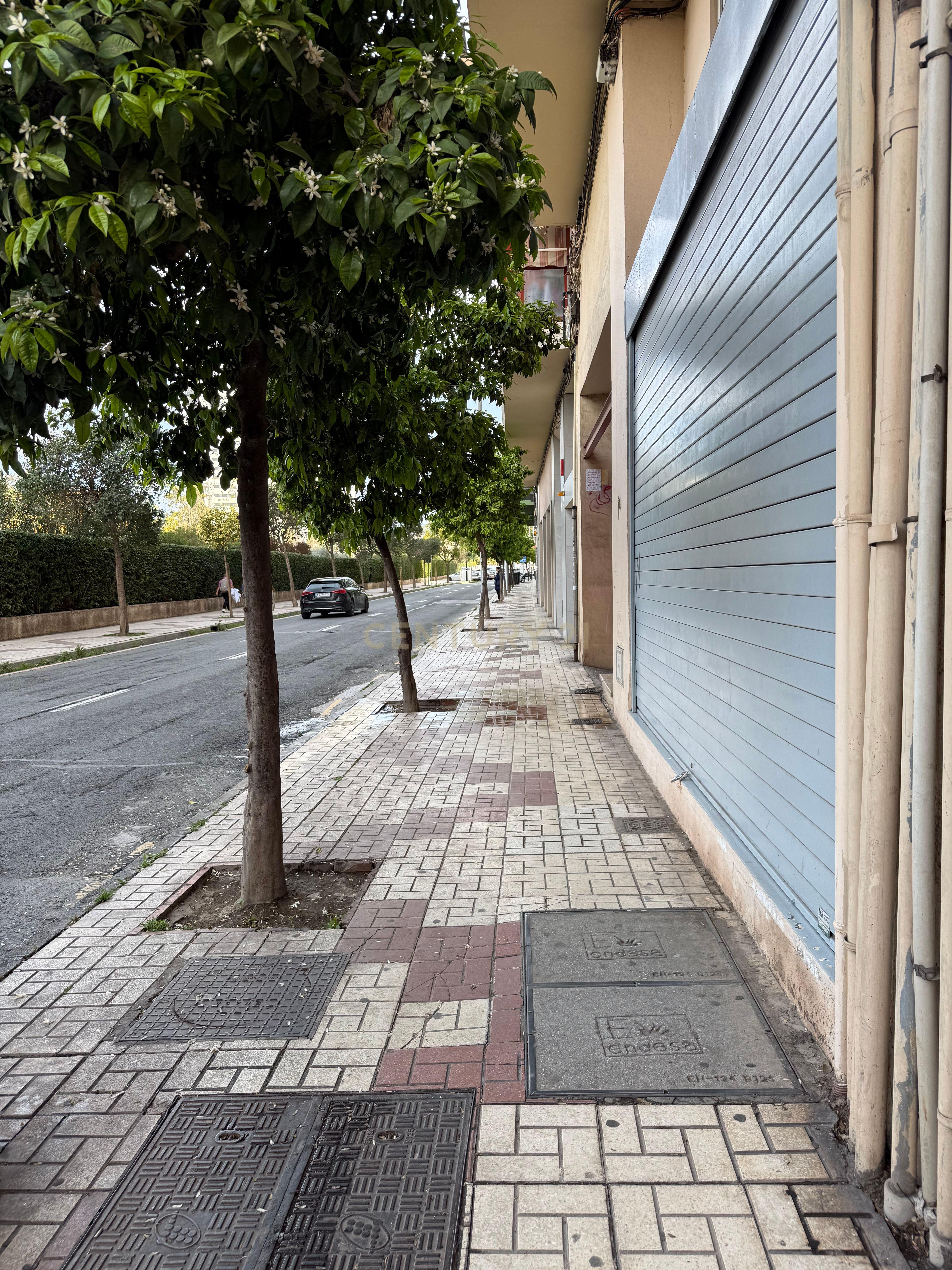 - Image 32