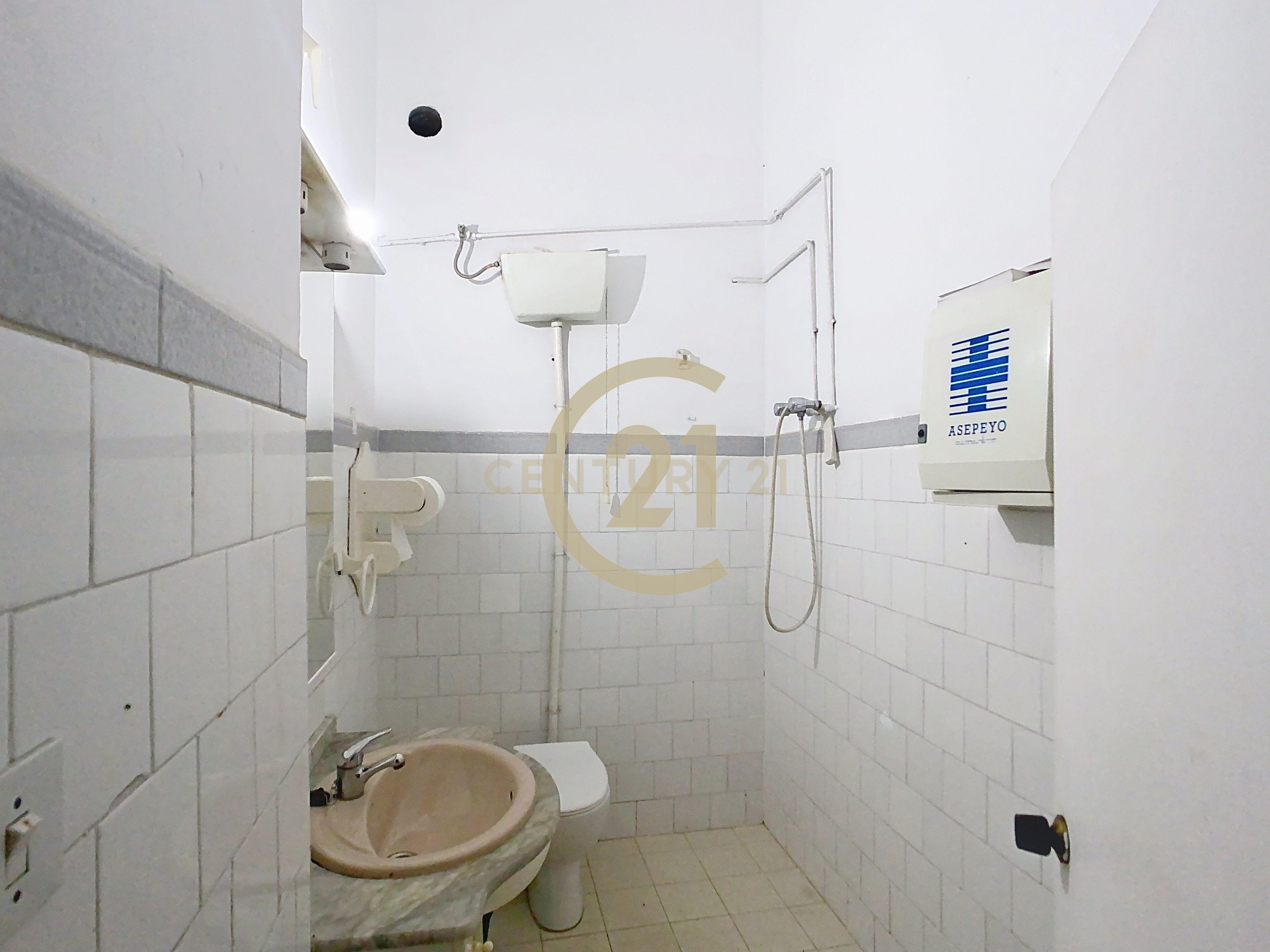 - Image 14