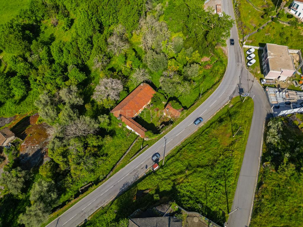 🌿 Quinta Rústica com 15.075 m² | Para Recuperar | Póvoa de Lanhoso, Braga - Image 10