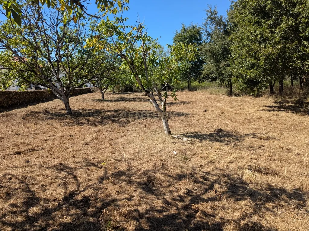 Terreno Viabilidade Construção em Espinhal, Penela – Excelente Oportunidade de Investimento - Image 19