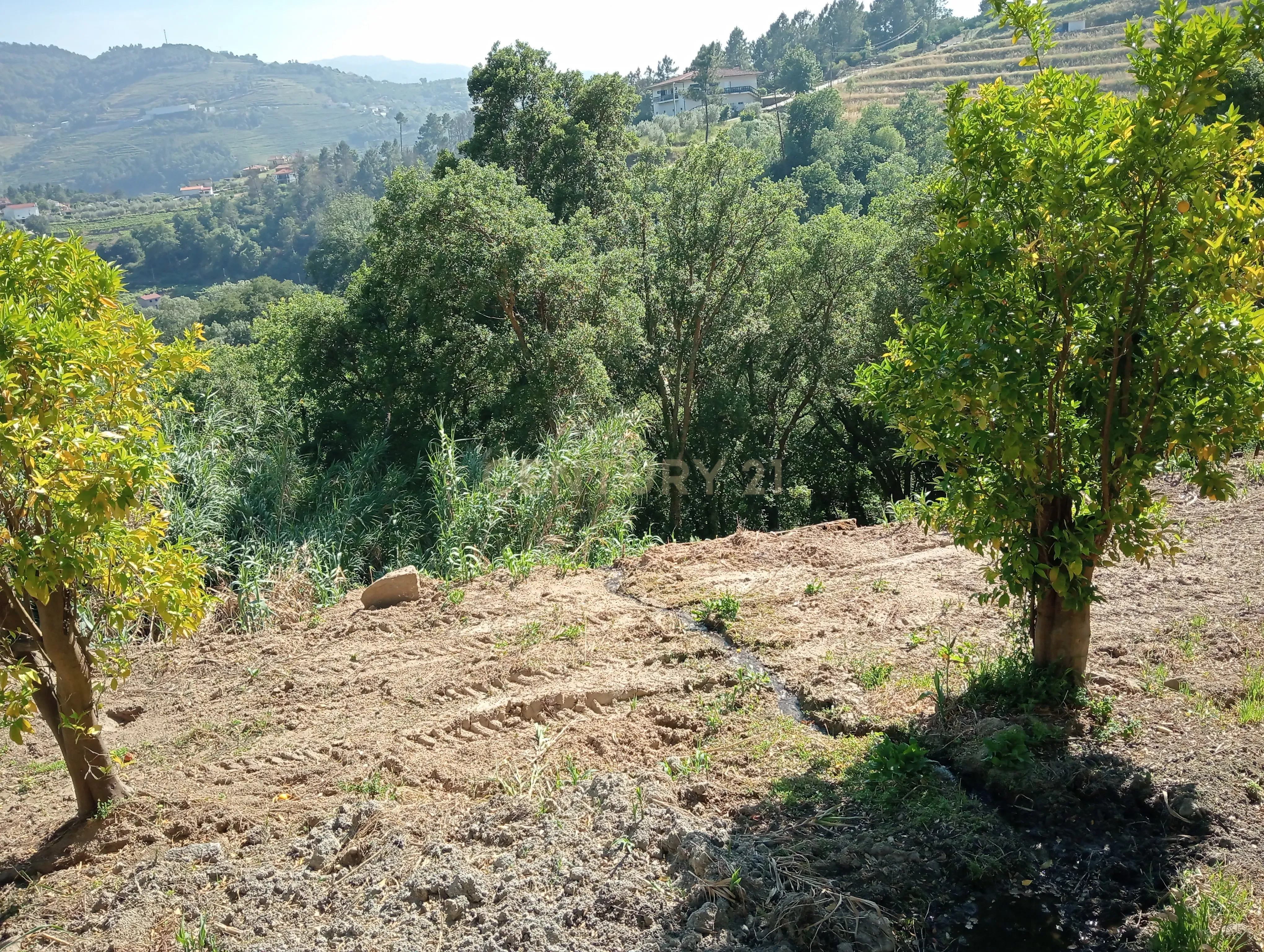 Moradia T2 à venda em Frende, Baião — foto 21
