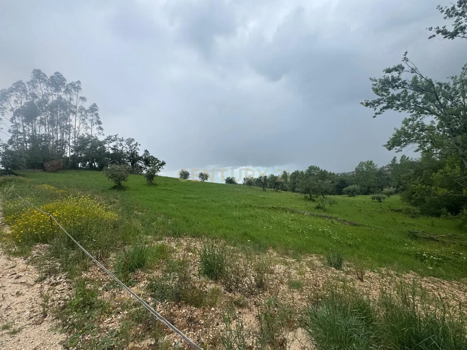 Fotografia 5 de Moradia para restaurar
