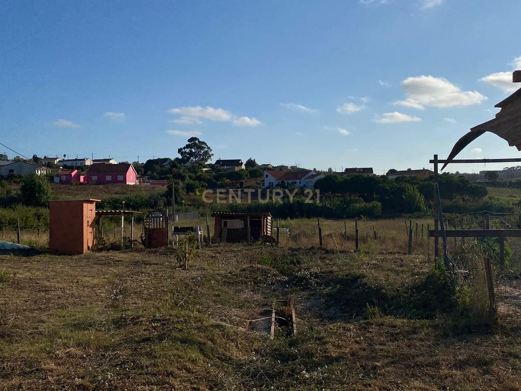 Terreno Rústico em Lamas e Cercal, Cadaval - 7400m² - Image 16