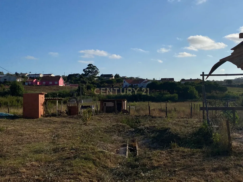 Terreno Rústico em Lamas e Cercal, Cadaval - 7400m² - Image 16