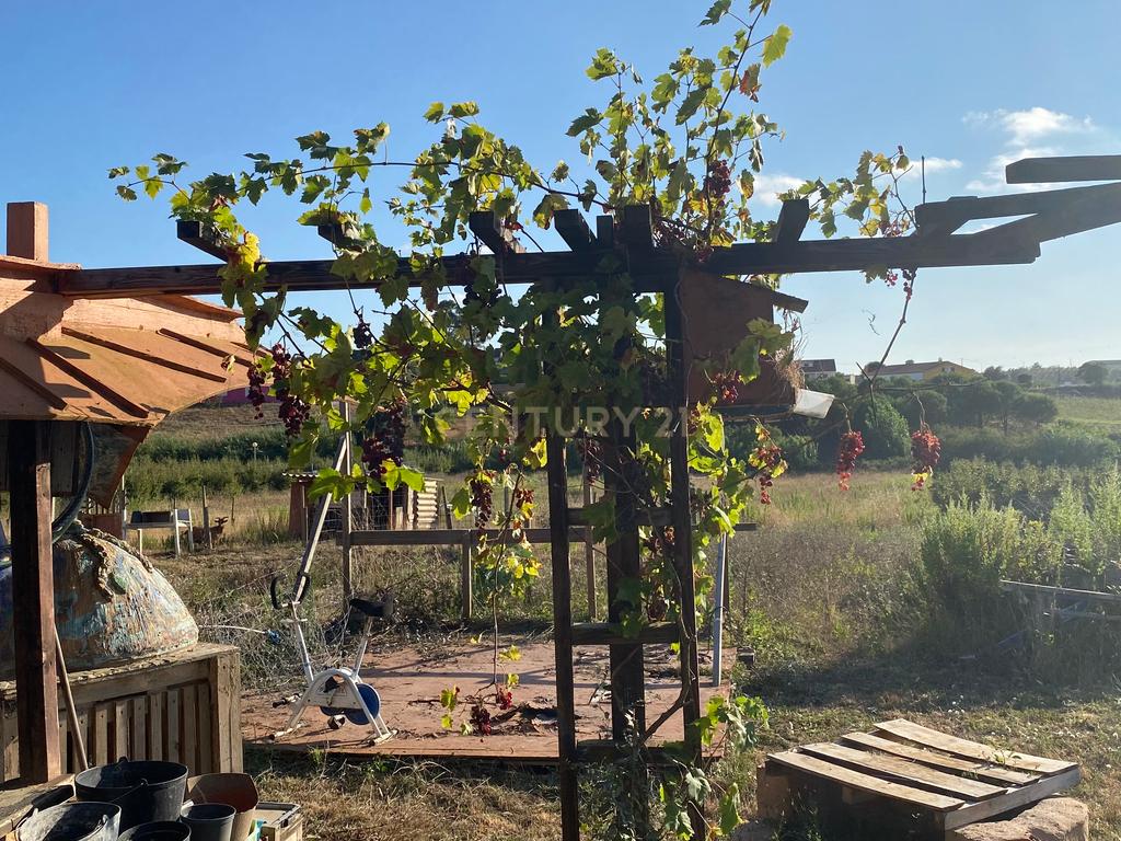 Terreno Rústico em Lamas e Cercal, Cadaval - 7400m² - Image 17