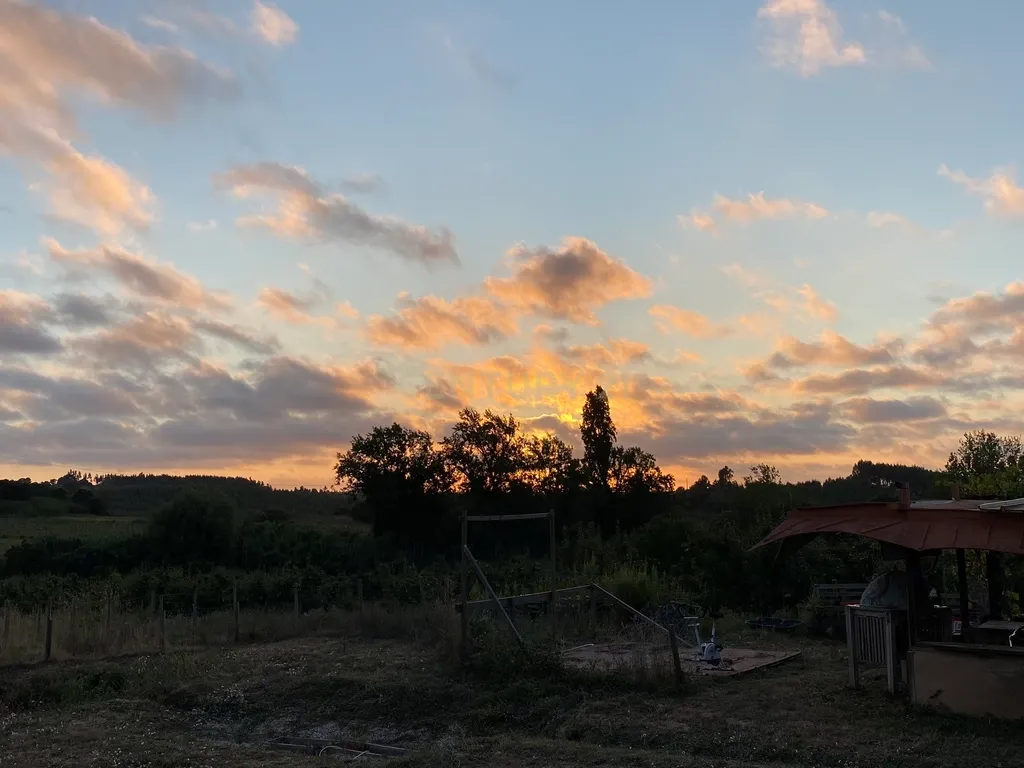 Terreno Rústico em Lamas e Cercal, Cadaval - 7400m² - Image 20