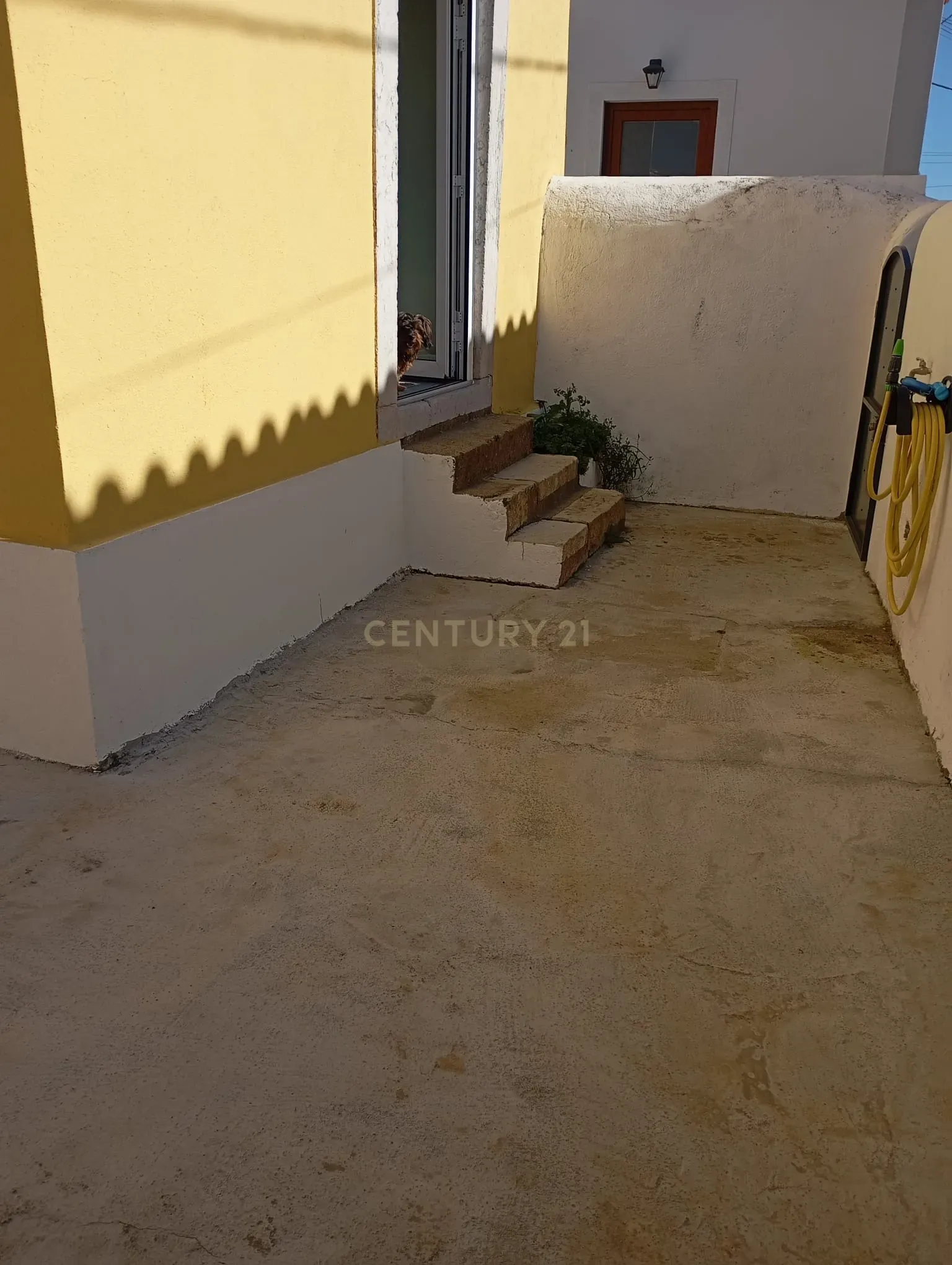 Moradia com 5 divisões e Adega à Venda na aldeia de Serra de São Julião, Torres Vedras - Image 18