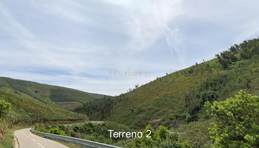 Terreno Rústico | Pescanseco Fundeiro | Pampilhosa da Serra - Image 6