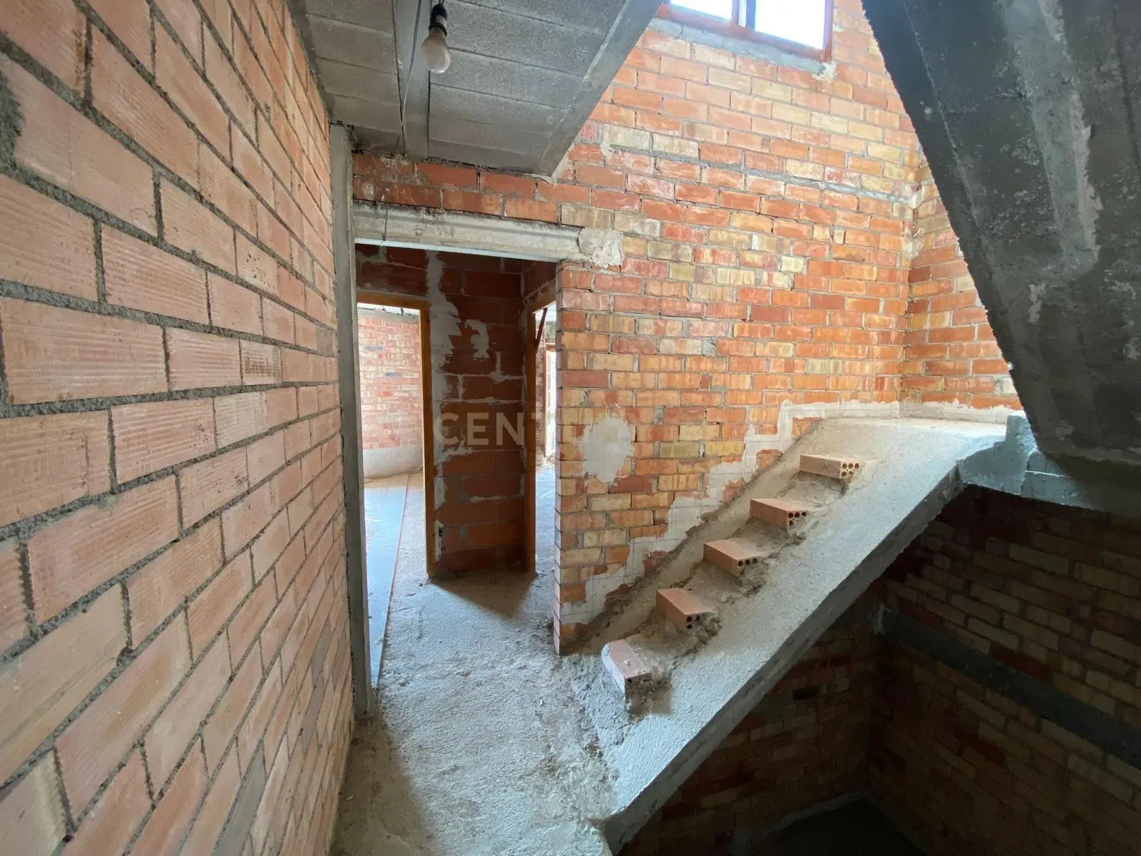 - Image 11