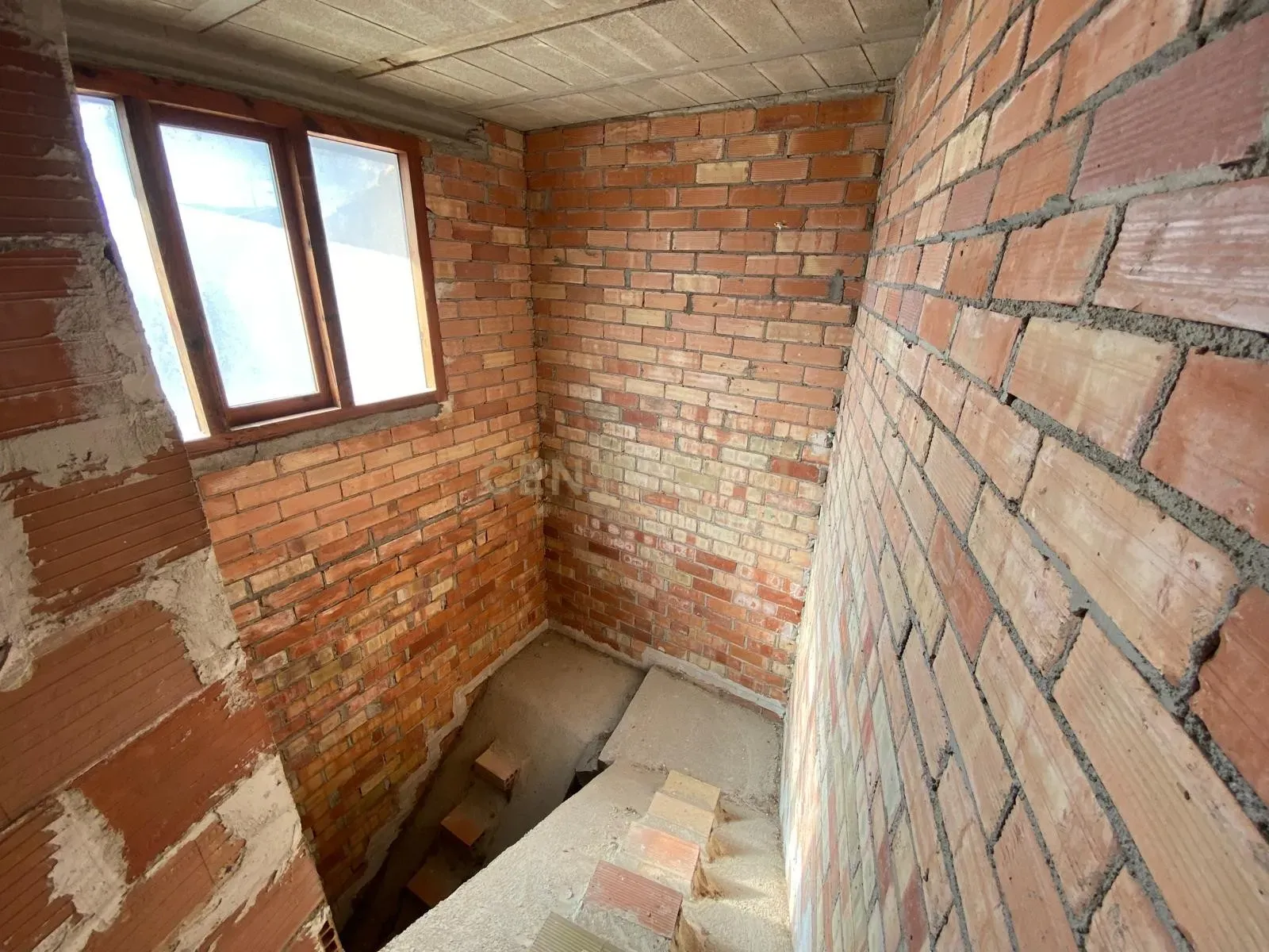 - Image 8