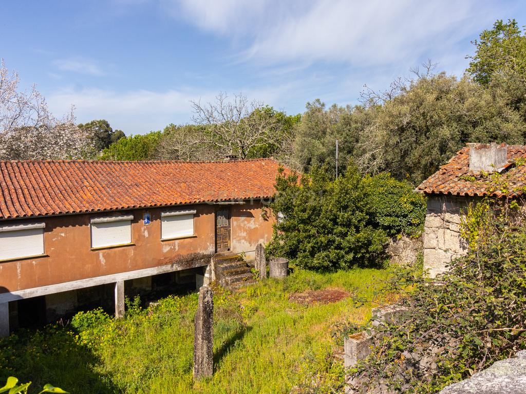 🌿 Quinta Rústica com 15.075 m² | Para Recuperar | Póvoa de Lanhoso, Braga - Image 17