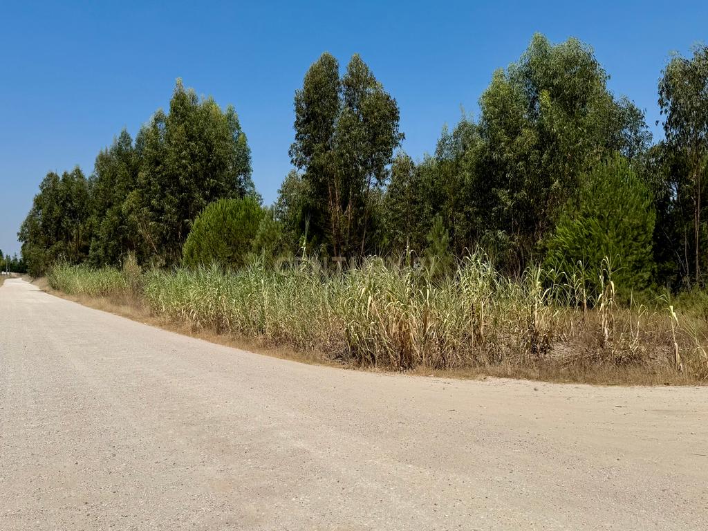 Terreno com 94.000 m2 na zona do Novo Aeroporto de Lisboa, Santo Estêvão, Benavente. Em venda! - Image 13