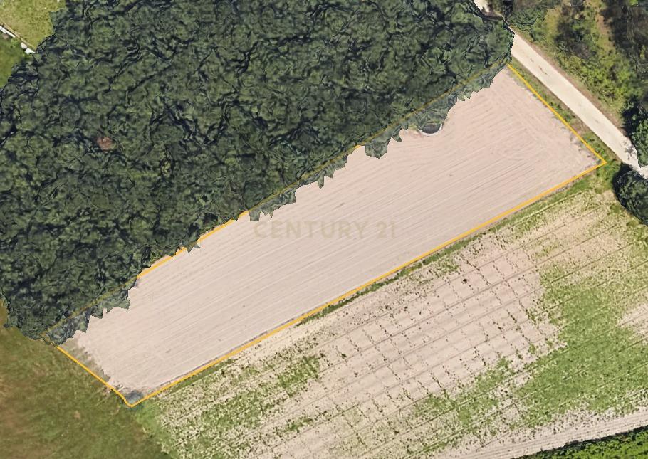 Terreno  em Vagos - Oportunidade Única - Image 1