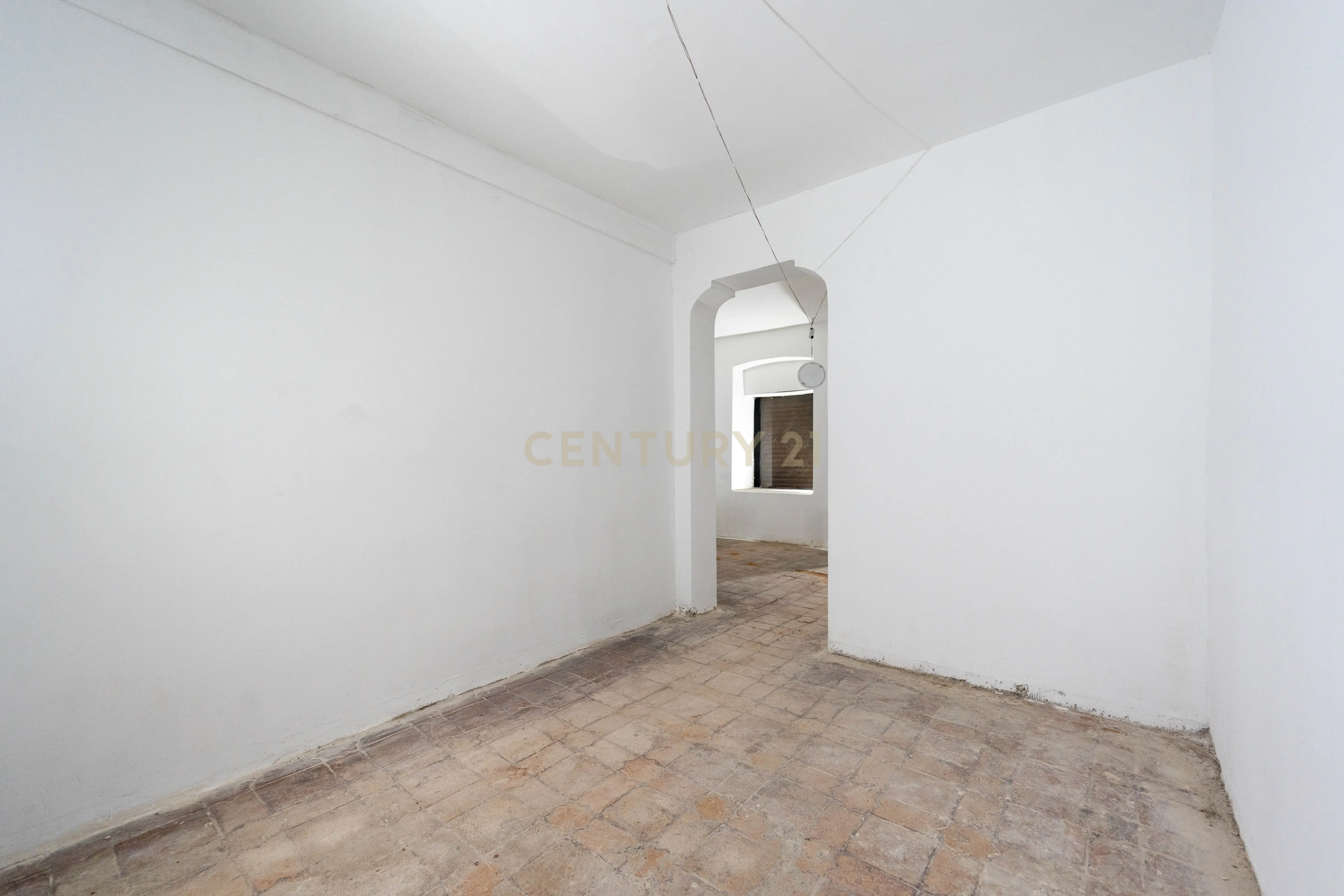- Image 15