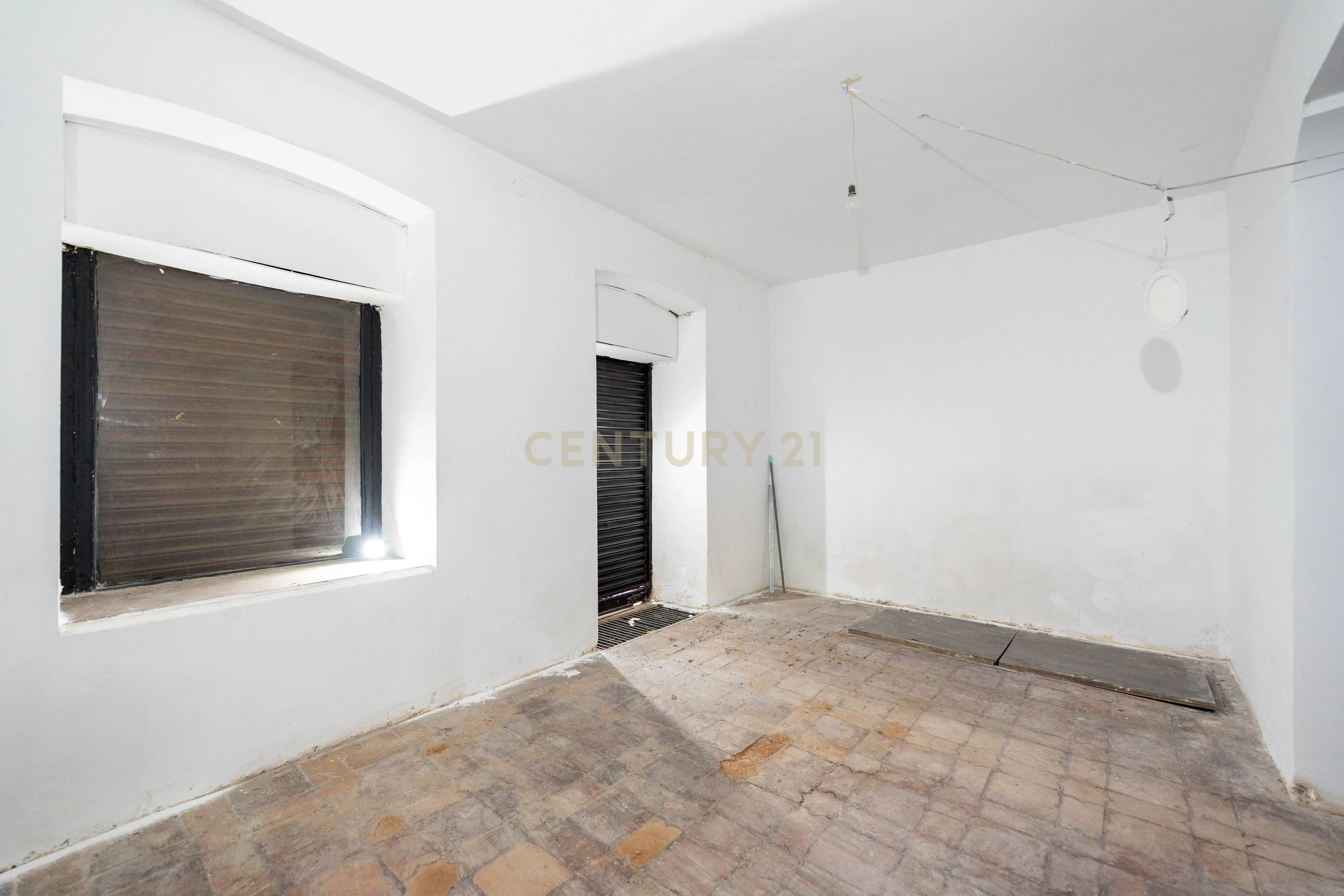 - Image 6