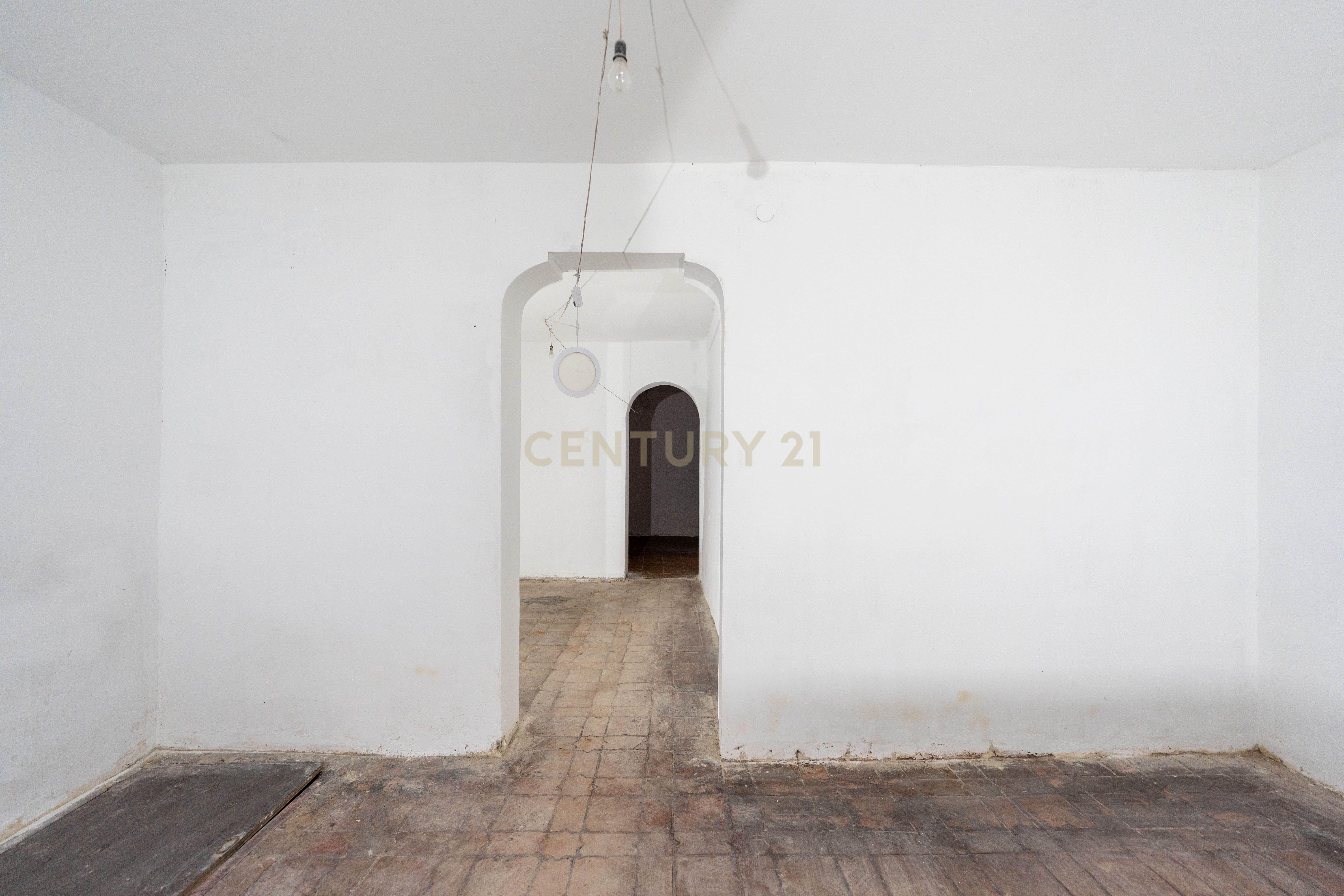 - Image 13