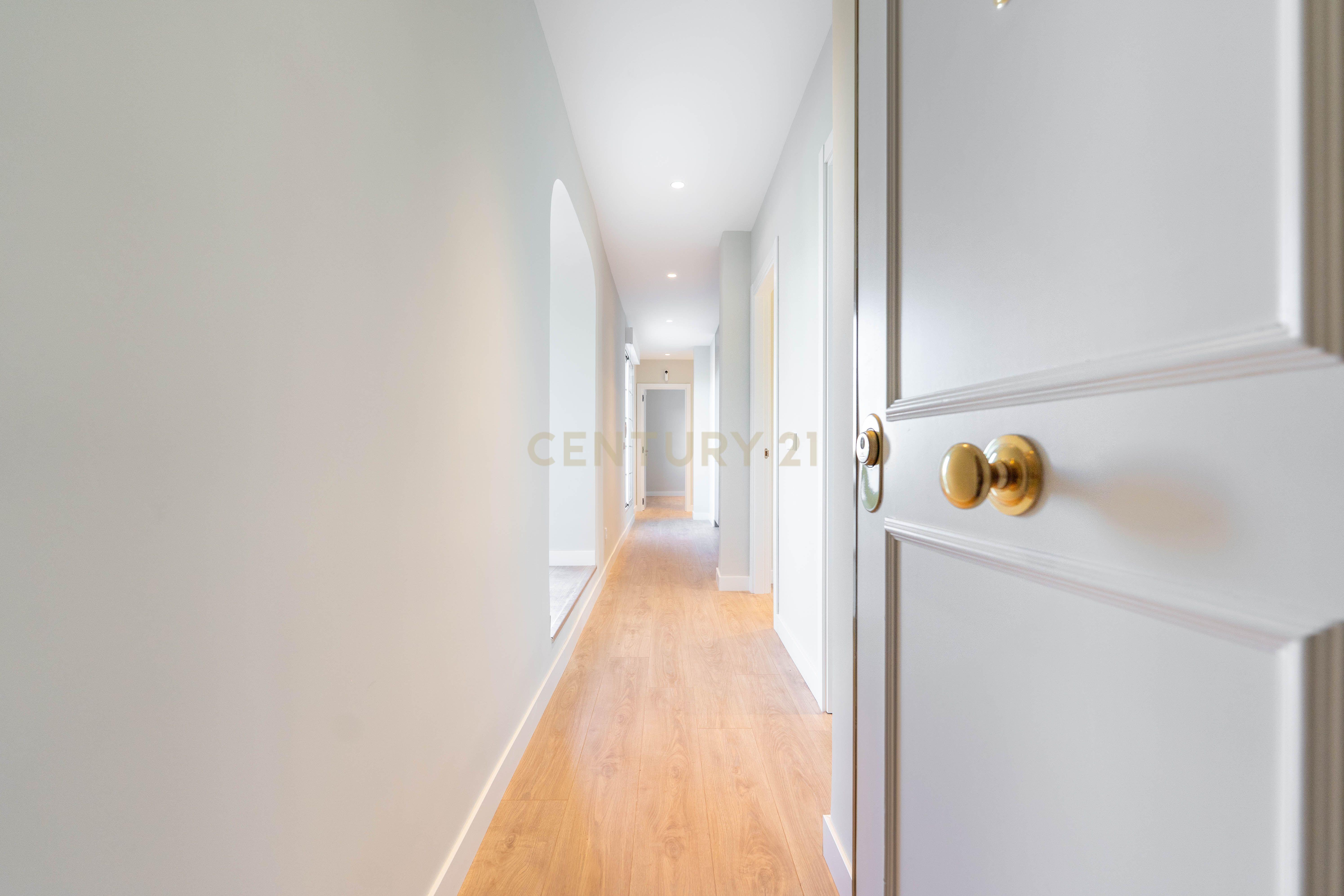  - Image 12