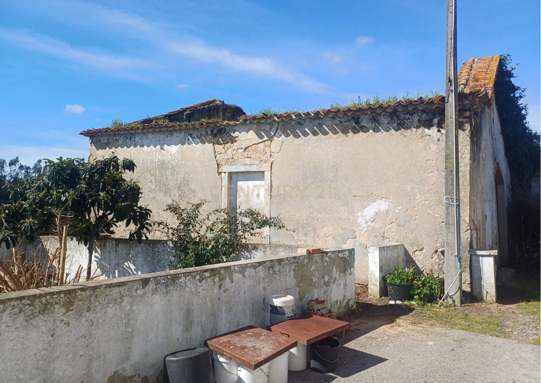 Terreno Urbano em Almoster Santarém - Image 3