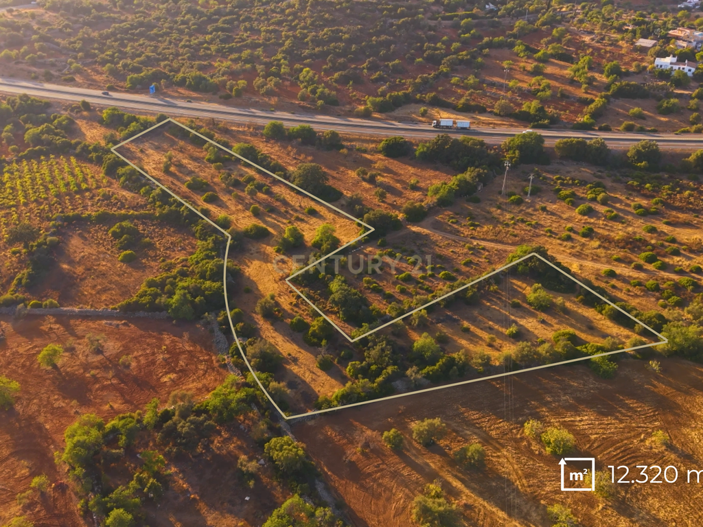 Terreno Rústico com 12.300 m² em Moncarapacho - Olhão - Algarve - Image 4
