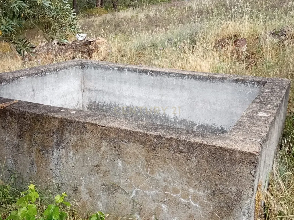 Terreno 8500m2, Lentiscais, Castelo Branco - Image 16