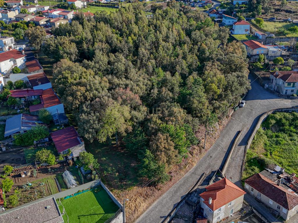 Terreno com 14.000m2  próximo ao Centro de Santo Tirso - Image 11