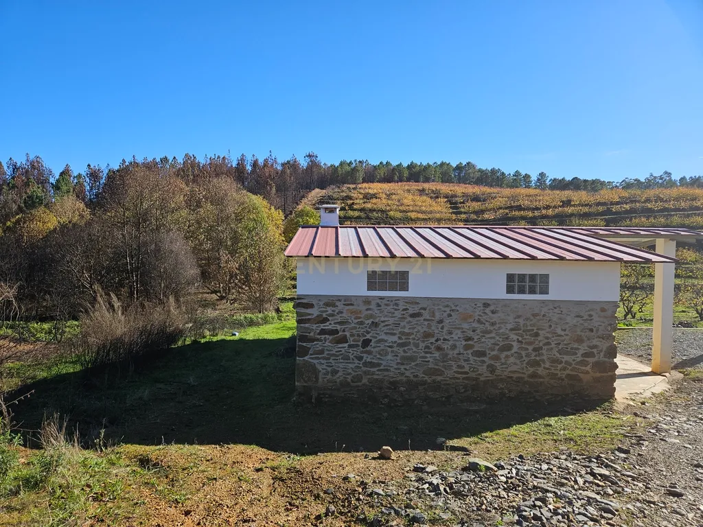 Quinta de Excelência Agrícola na Região Premium do Fundão: 32 ha de Alta Produtividade - Image 21