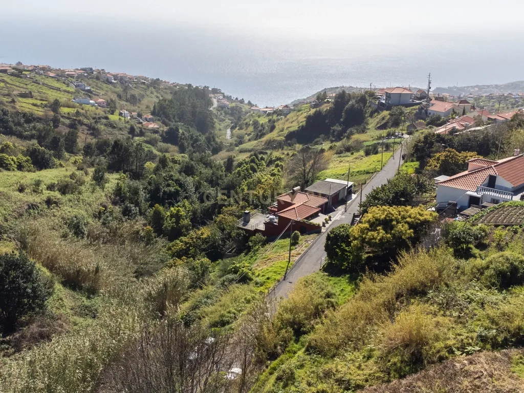 Terreno Rústico nas Faias, Arco da Calheta - Oportunidade Única! - Image 6