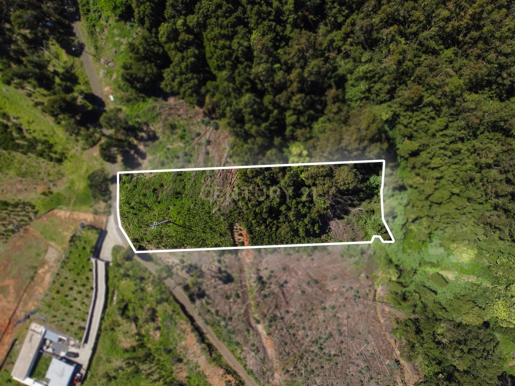 Terreno com Vista Mar e Viabilidade de Construção para Habitação Própria em Gaula - Image 10