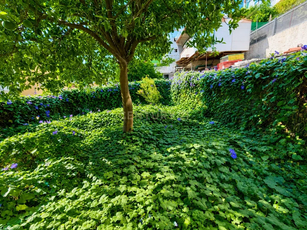 TERRENO URBANO PARA CONSTRUÇÃO | BRANDOA | AMADORA - Image 5