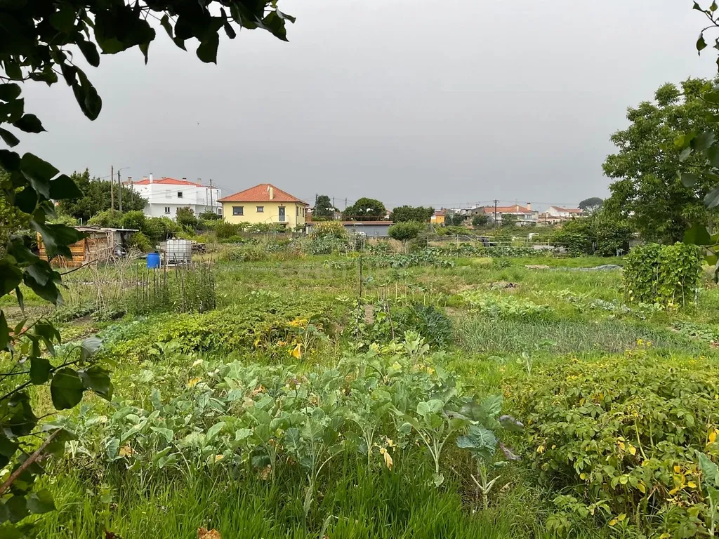Espetacular Terreno de 572m² em Viana do Castelo - Image 12