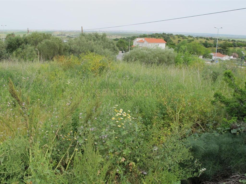 Terreno Elvas - Grande Potencial - Image 5