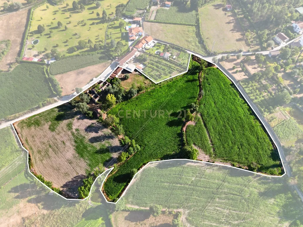 Quinta de Verim – 22.000 m² de história, natureza e potencial - Image 41