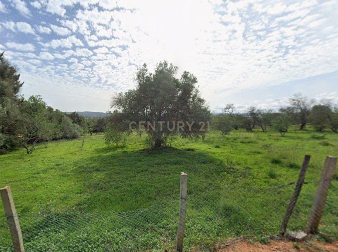 Fotografia 11 de Exclusivo Terreno com 6.320m² em Silves – Natureza, Privacidade e Potencial no Coração do Algarve