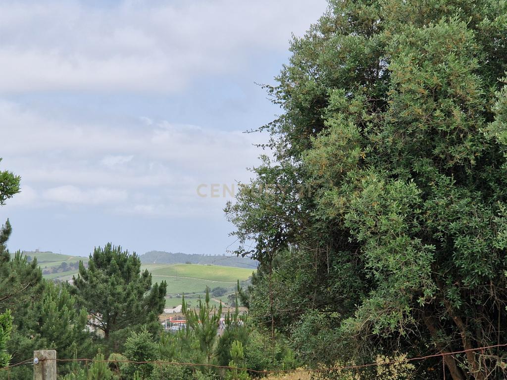 Lote -  Casal novo do Hilarião - Torres Vedras - Image 5