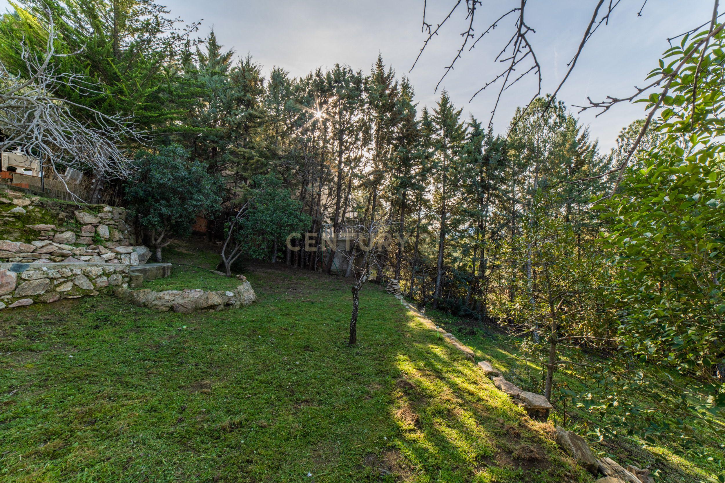 undefined - Image 43